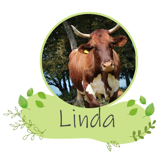 Erfahre Lindas Geschichte auf dem Hof in Mahlstetten
