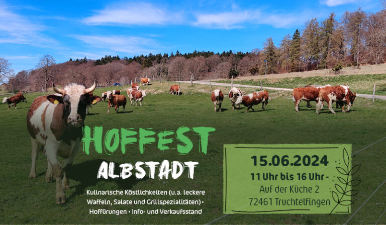 Hoffest in Albstadt